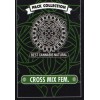 Bcn Seeds - CROSS MIX FEM