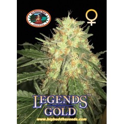 Big Buddha Seeds - LEGENDS GOLD