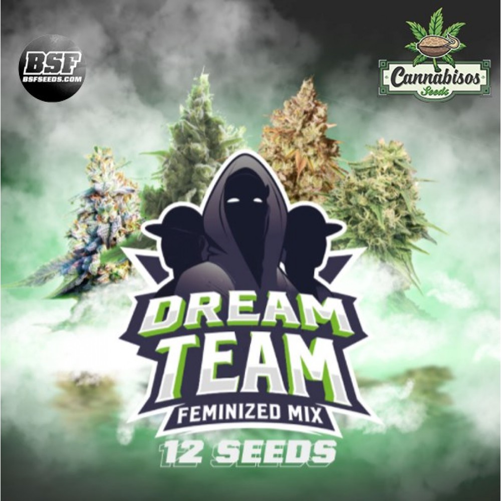 BSF SEEDS - Dream Team Feminized Mix