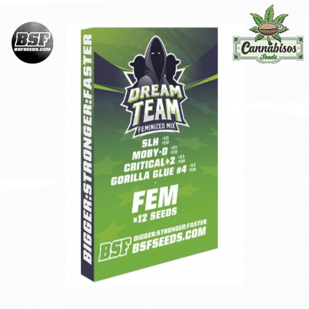 BSF SEEDS - Dream Team Feminized Mix