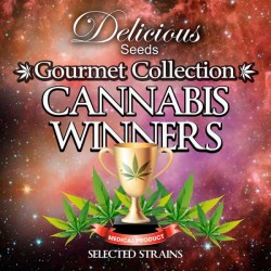 Delicious Seeds - CANNABIS WINNERS # 1 (COLECTIONS)