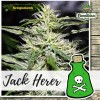 Biological Seeds - JACK HERER