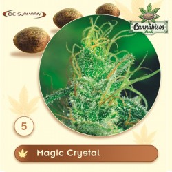 De Sjamaan - Magic Crystal