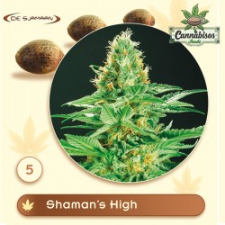 De Sjamaan - SHAMAN'S HIGH