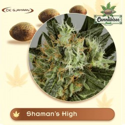 De Sjamaan - SHAMAN'S HIGH