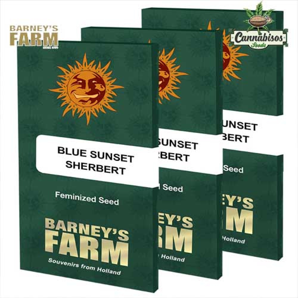 BLUE SUNSET SHERBET - BARNEY'S FARM