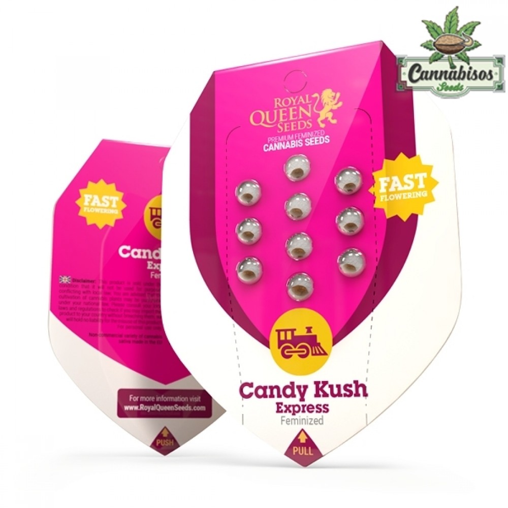 Candy Kush Express (Fast Flowering)